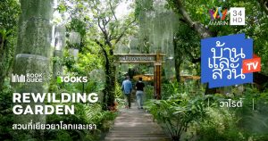 Rewilding Garden สวนที่เยียวยาโลกและเรา