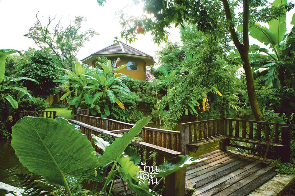 สวนป่าอาหาร