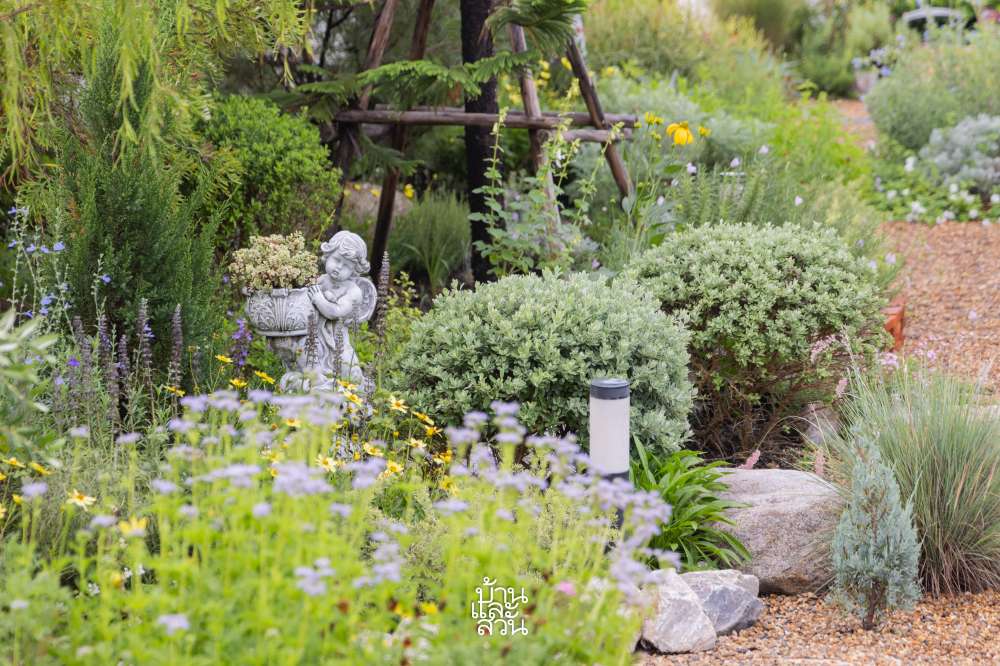 สวนดอกไม้จัดเอง