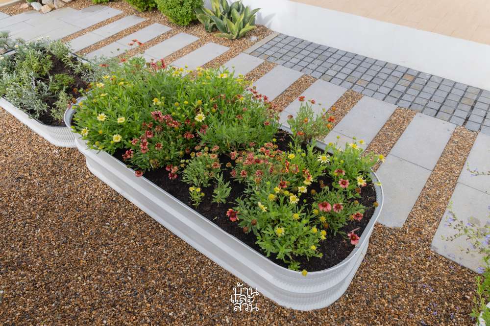 สวนดอกไม้จัดเอง