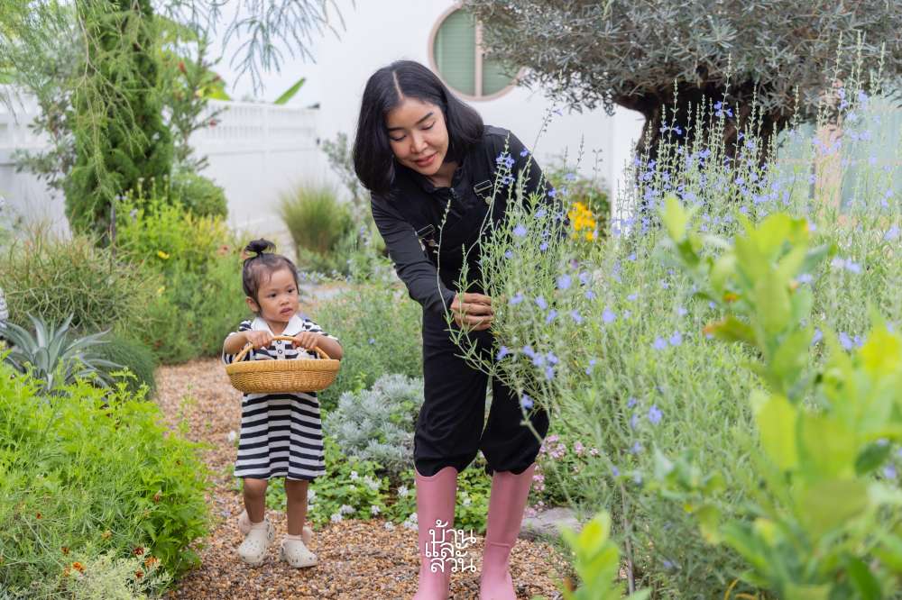 สวนดอกไม้จัดเอง