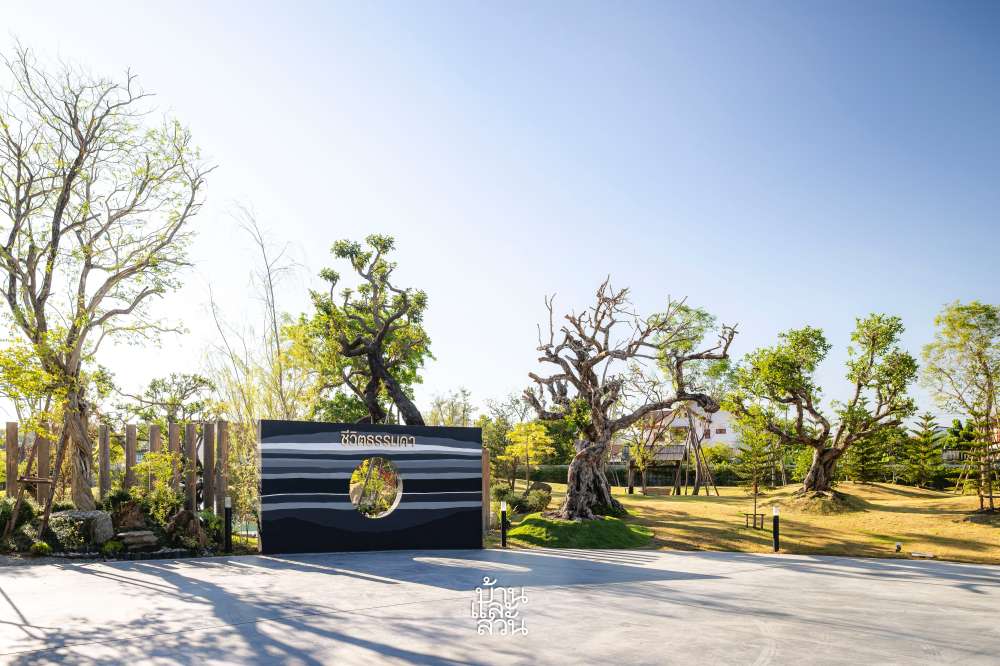 สวนญี่ปุ่นทรอปิคัล