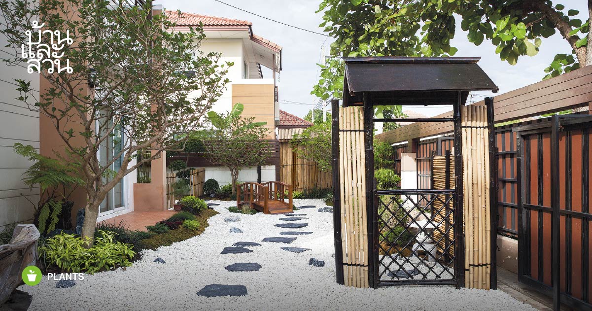 พรรณไม้ไทยสไตล์ญี่ปุน