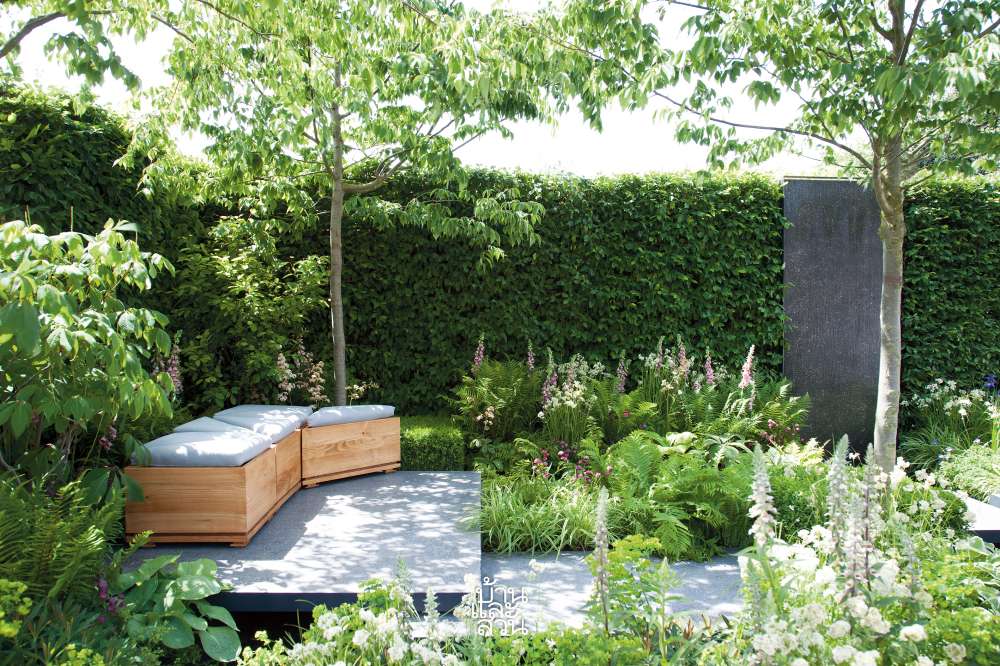 ต้นไม้ริมรั้ว