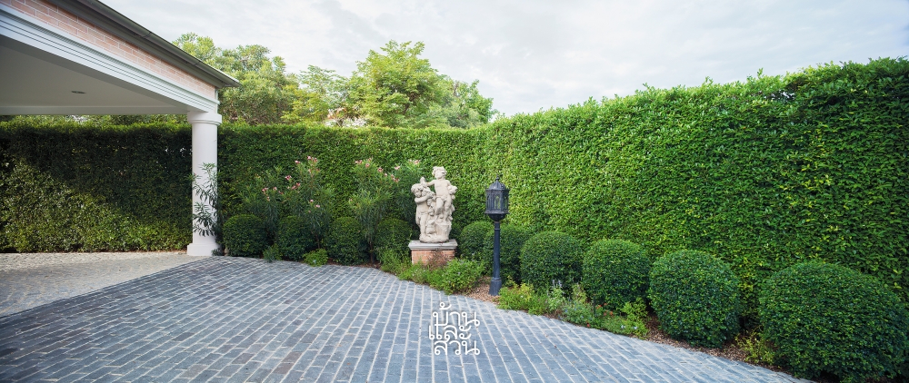 ต้นไม้ริมรั้ว