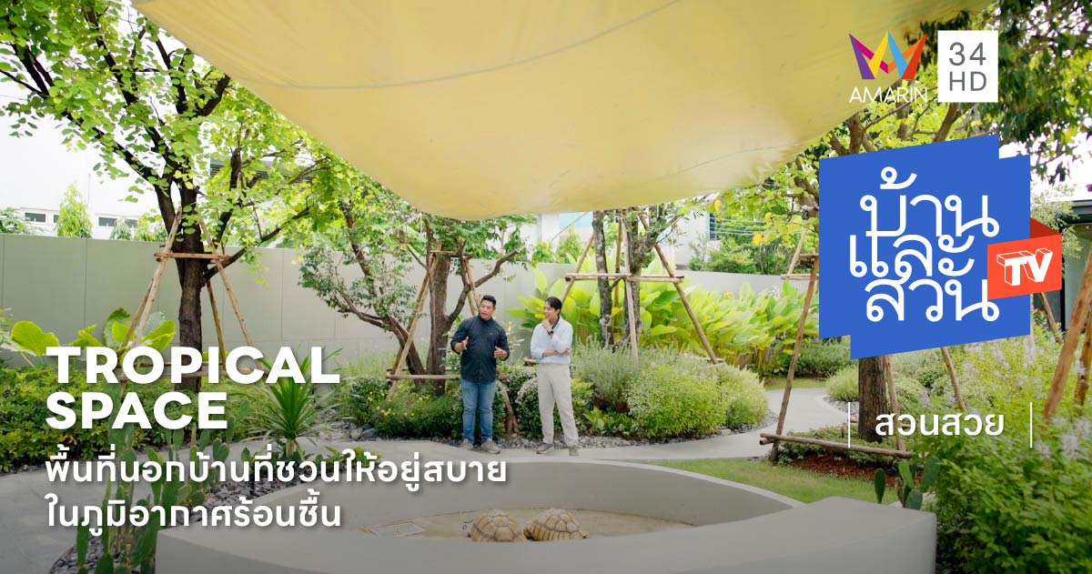 สวนโมเดิร์นทรอปิคัล