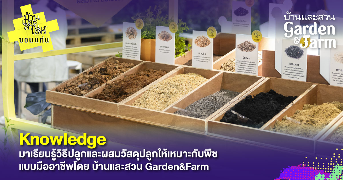 บ้านและสวนแฟร์ ขอนแก่น 4