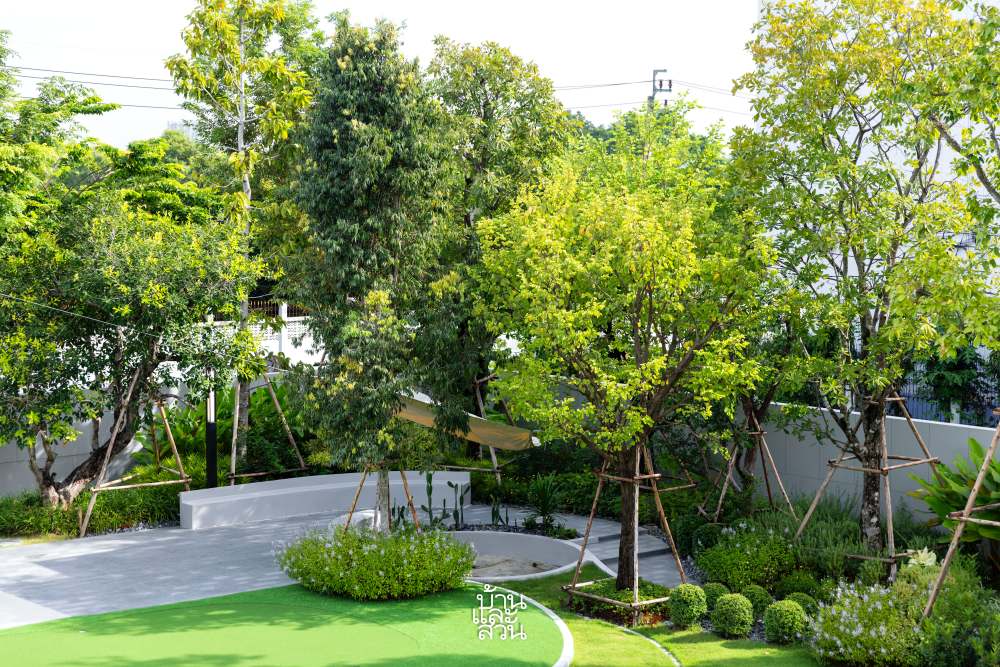 สวนป่าโปร่ง