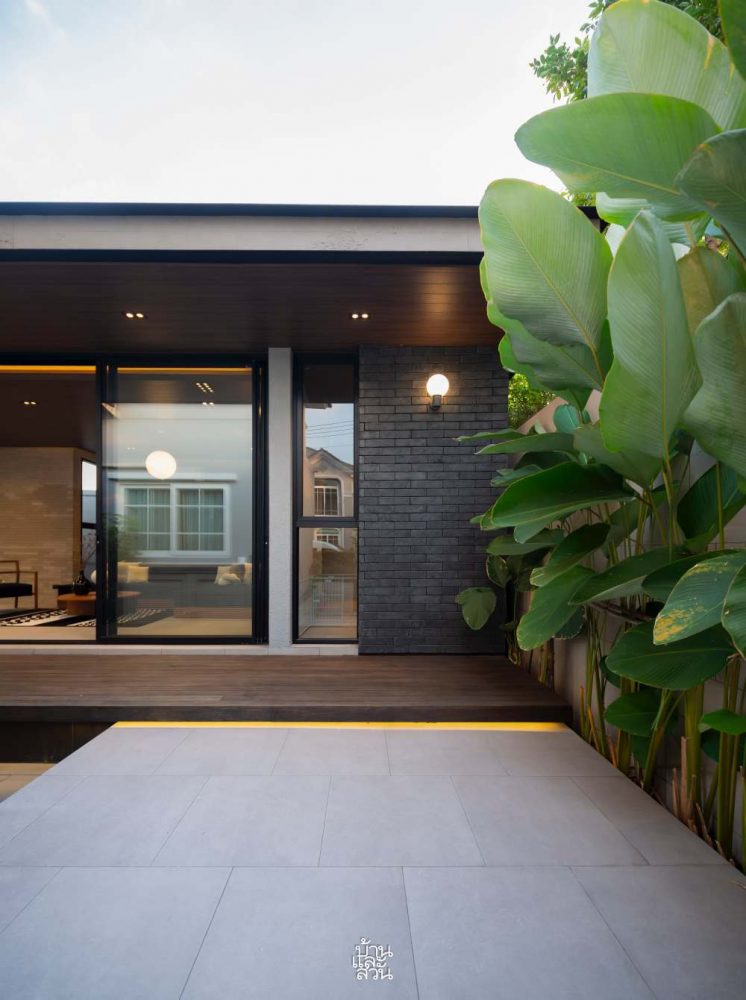สวนหลังบ้าน 