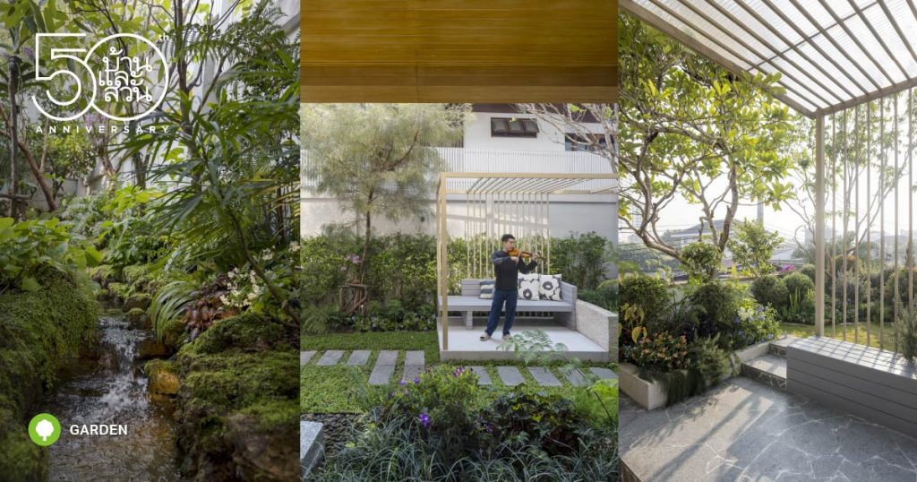 แบบสวน Tropical / Modern / English / สวนหน้าบ้าน - บ้านและสวน
