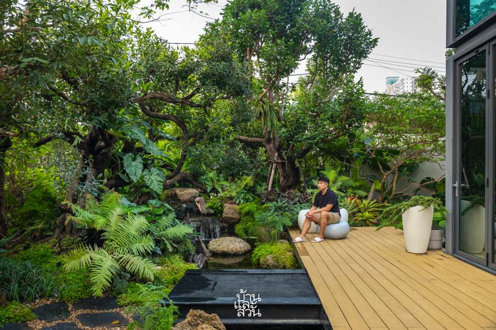สวนทรอปิคัลในบ้านโมเดิร์น