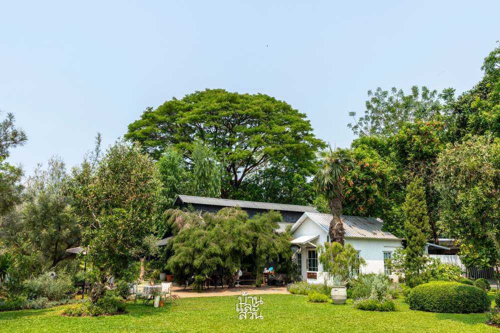 คาเฟ่ในสวน
