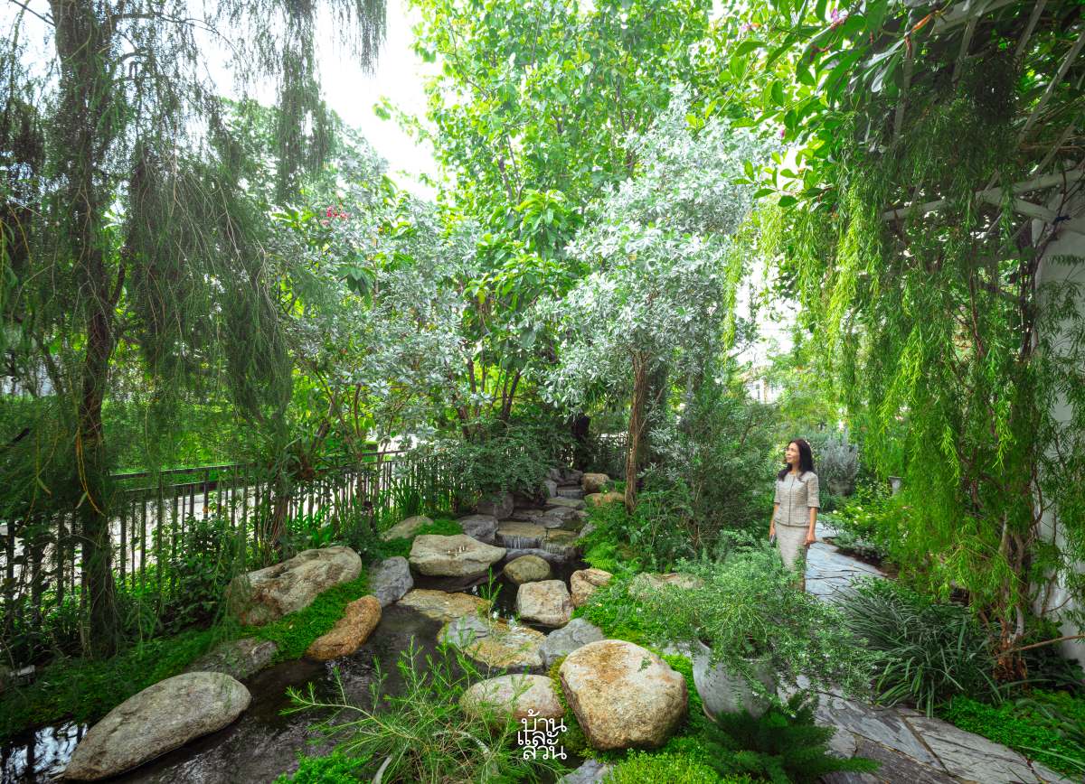 สวนสไตล์อิงลิชคอตเทจ ในบ้านจัดสรร