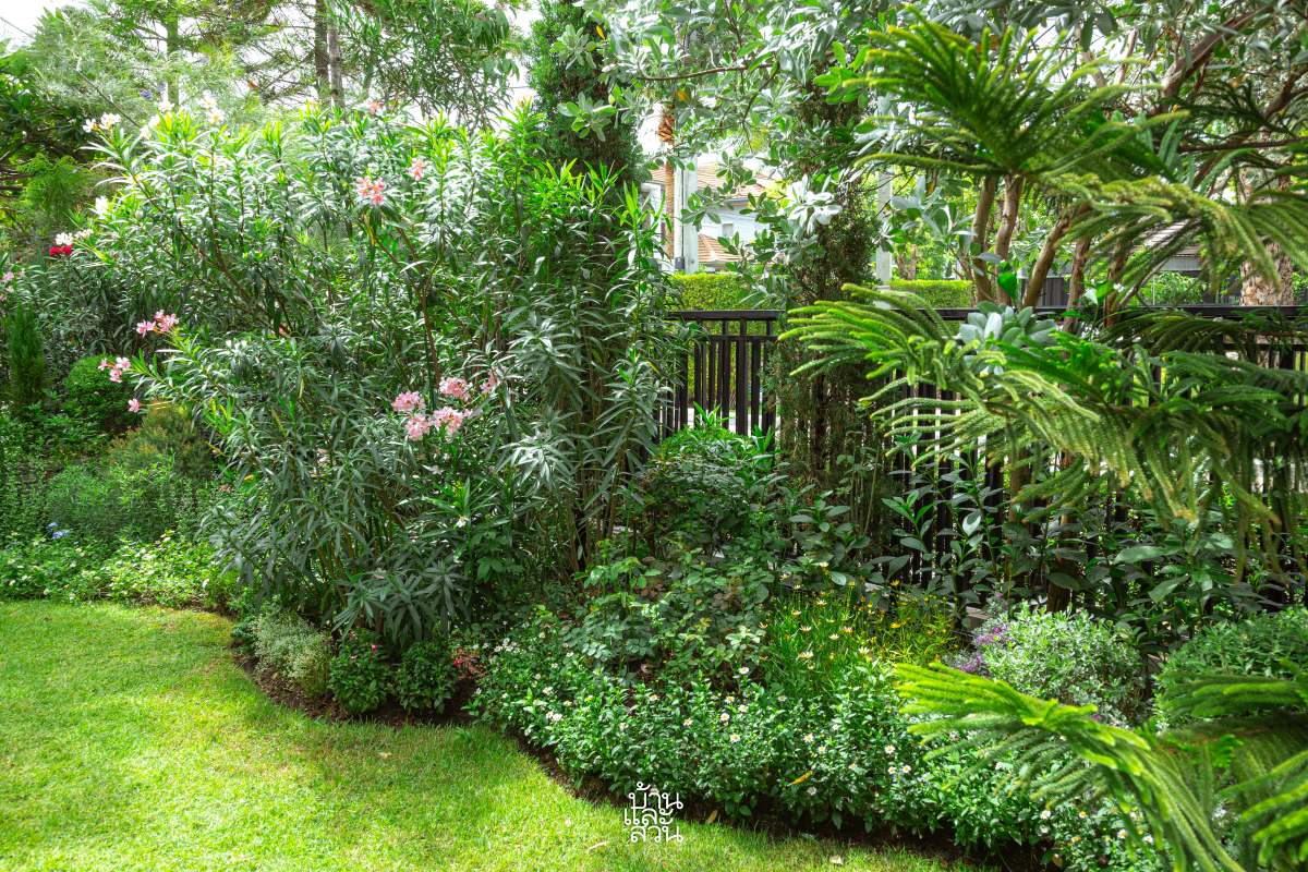 สวนสไตล์อิงลิชคอตเทจ ในบ้านจัดสรร