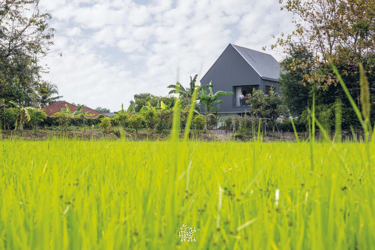แบบบ้านหลังคาเมทัลชีต