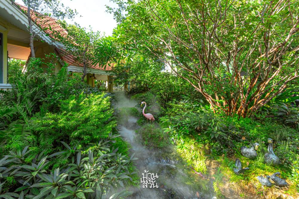 สวนทรอปิคัลร่มรื่น