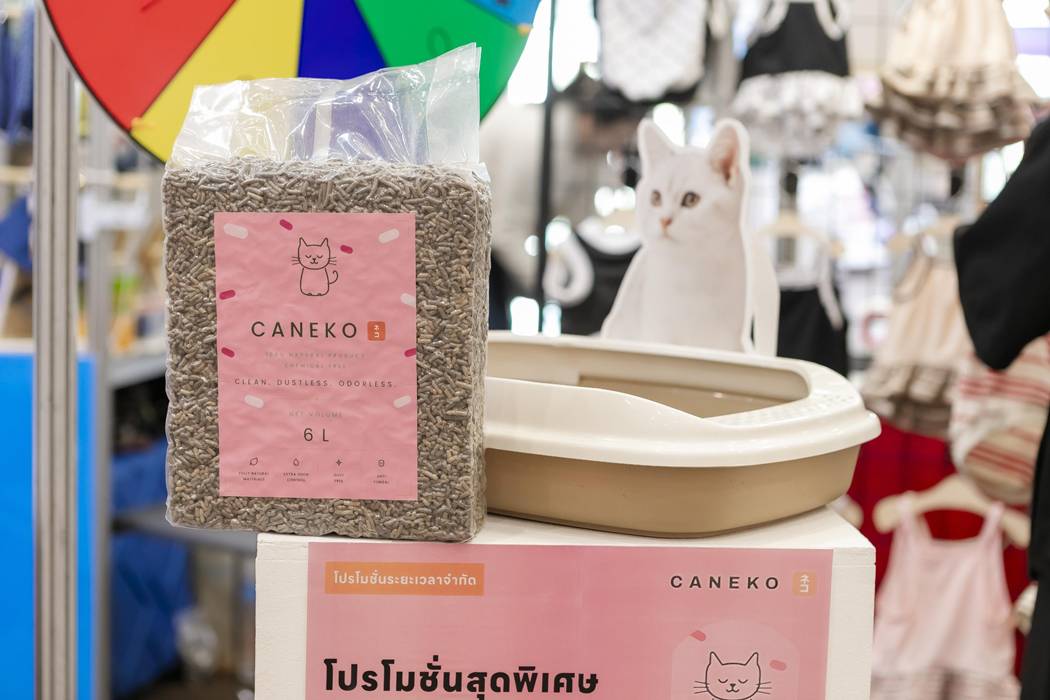 Caneko ทรายแมว