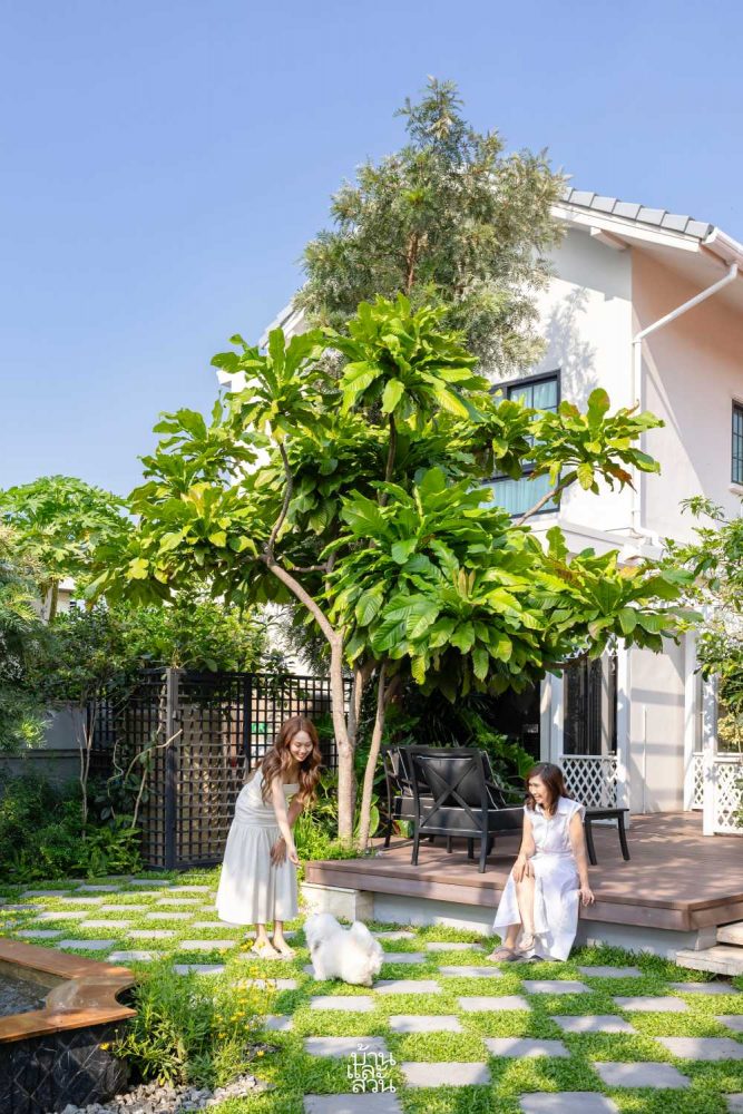 เลี้ยงหมาแมวแล้วสวนพัง…ต้องอ่าน รวมข้อคิดในการจัดสวนสำหรับคนรักสัตว์เลี้ยง