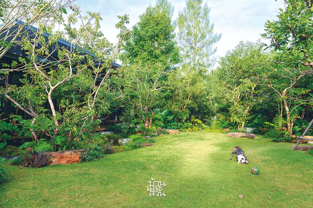 ไอเดียจัดสวนเพื่อสัตว์เลี้ยง